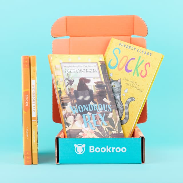 Orange Box #1 - Rainbow Collection - Junior Chapter Book Club