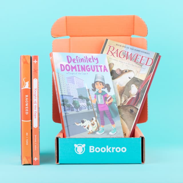 Orange Box #2 - Rainbow Collection - Junior Chapter Book Club