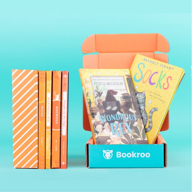 Mini Club: Orange Junior Chapter Books