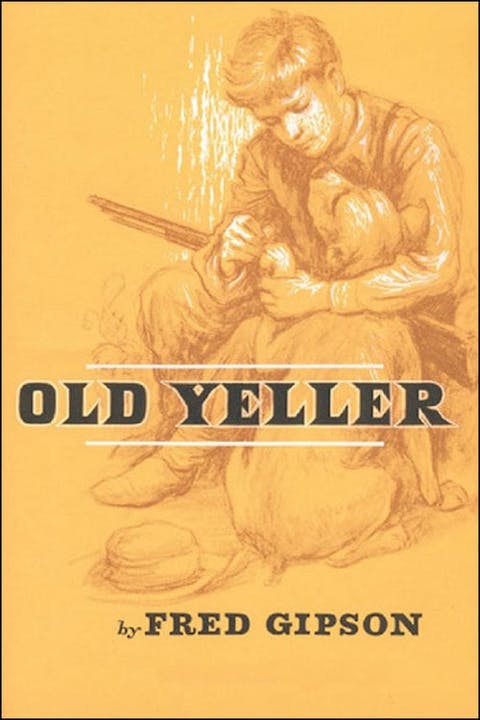 old yeller chapter 1