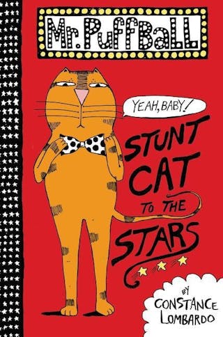 Stunt Cat to the Stars