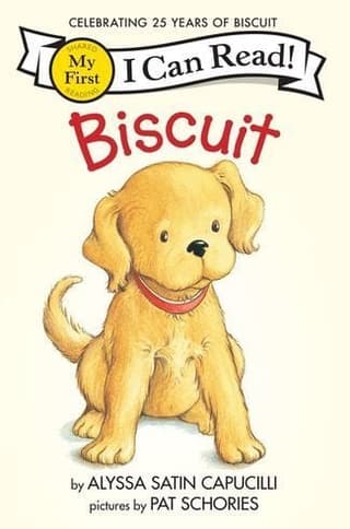 Biscuit