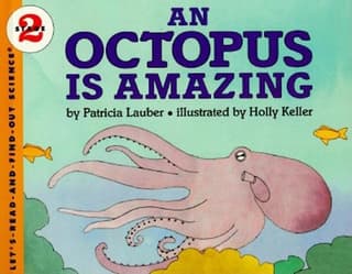 Octopus Is Amazing