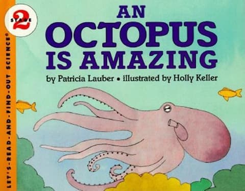 Octopus Is Amazing