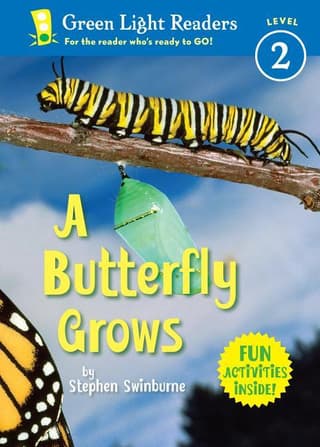 Butterfly Grows (1-Simul)