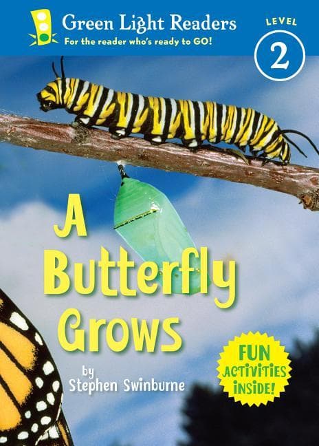 Butterfly Grows (1-Simul)