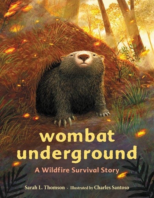 Wombat Underground: A Wildfire Survival Story