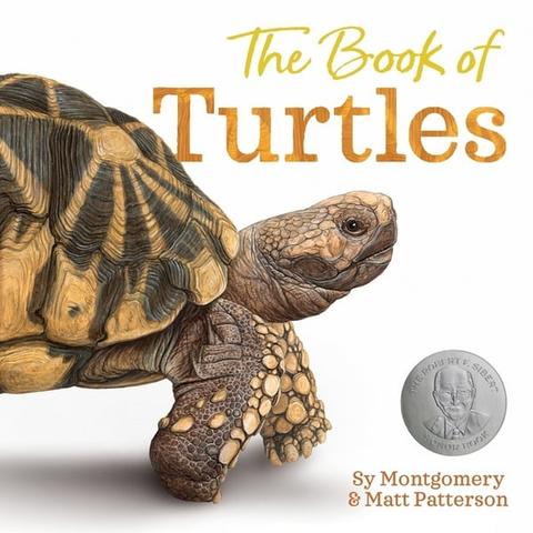 Book of Turtles