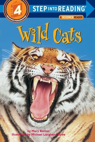 Wild Cats