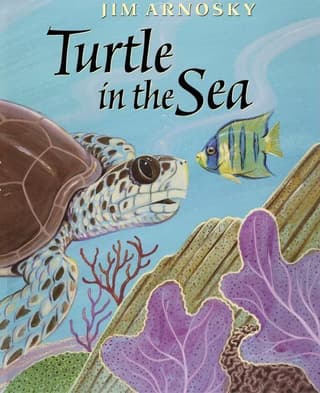 Turtle in the Sea