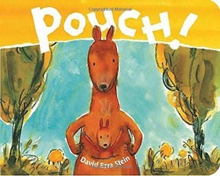 Pouch!