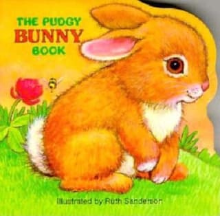 Pudgy Bunny Book