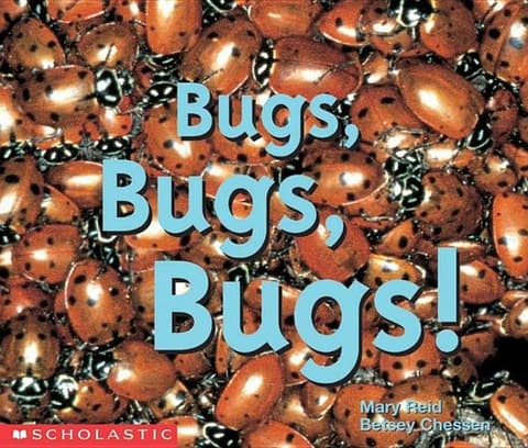 Bugs, Bugs, Bugs