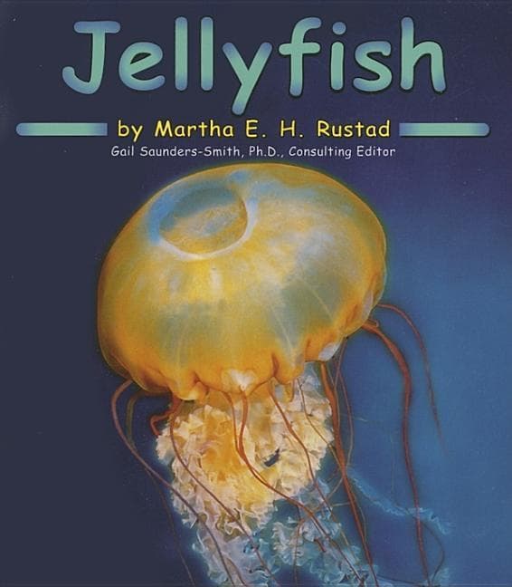 Jellyfish