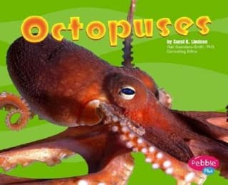 Octopuses