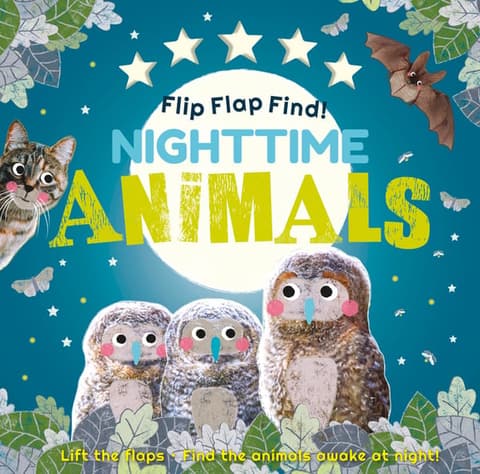 Flip Flap Find! Night-Time Animals: Lift the Flaps. Find the Animals Awake at Night!