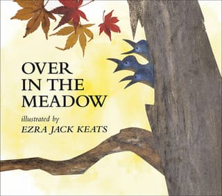 Over in the Meadow (Bound for Schools & Libraries)