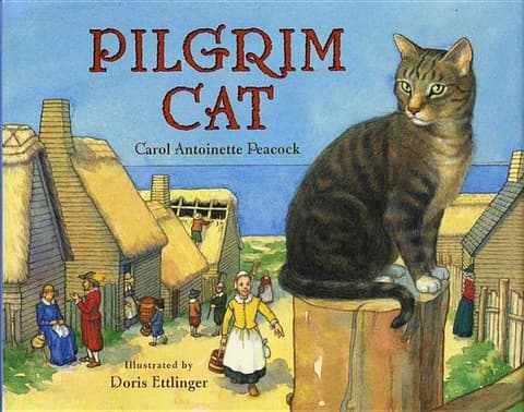 Pilgrim Cat