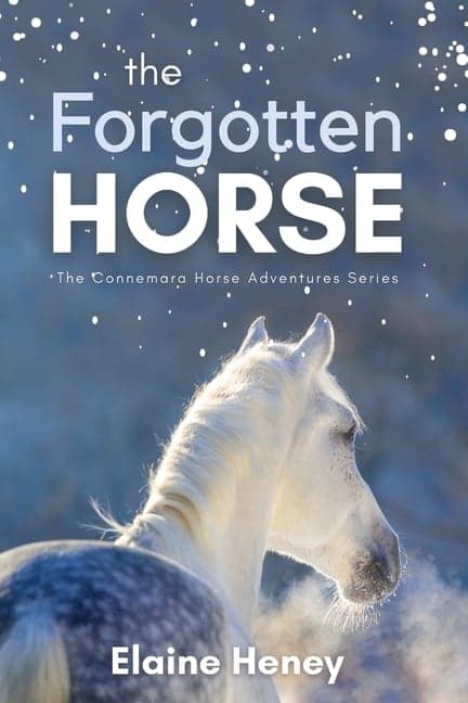 Forgotten Horse - Book 1 in the Connemara Horse Adventure Series for Kids. The perfect gift for children age 8-12.