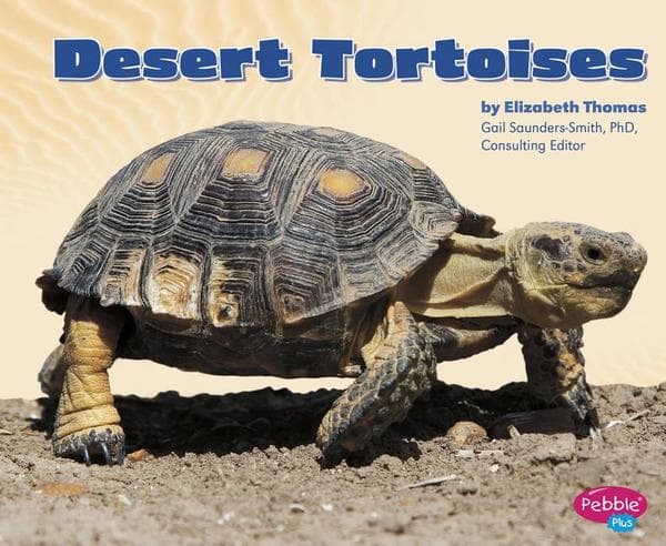 Desert Tortoises