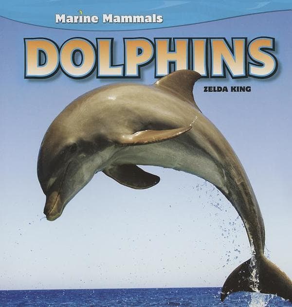 Dolphins