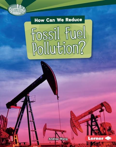 How Can We Reduce Fossil Fuel Pollution?