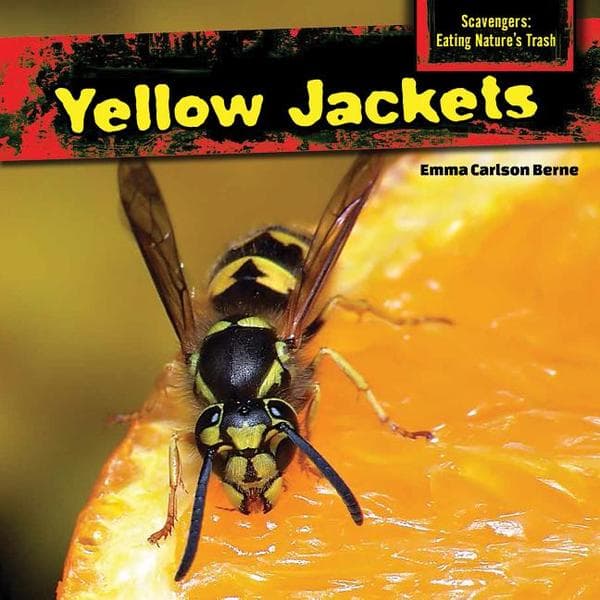 Yellow Jackets