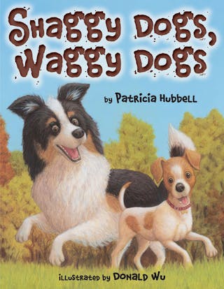 Shaggy Dogs, Waggy Dogs