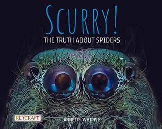 Scurry: The Truth about Spiders: The Truth about Spiders