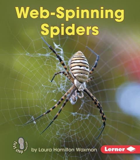 Web-Spinning Spiders