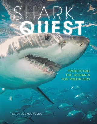 Shark Quest: Protecting the Ocean's Top Predators