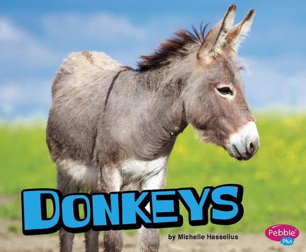 Donkeys