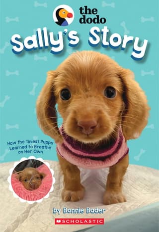 Sally's Story (the Dodo)