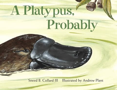 Platypus, Probably