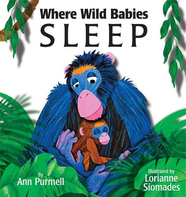 Where Wild Babies Sleep