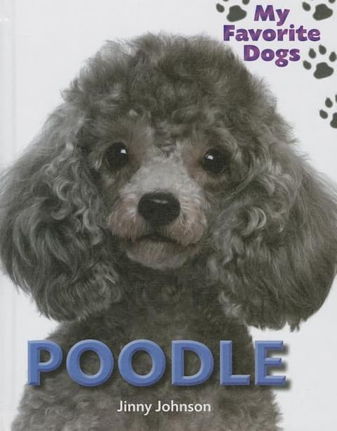 Poodle