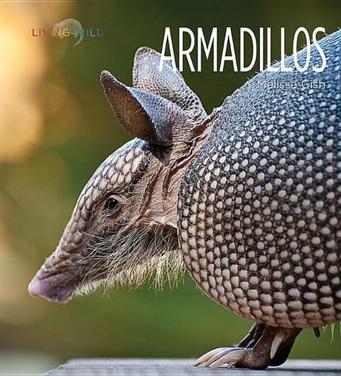 Armadillos