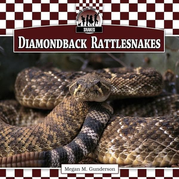 Diamondback Rattlesnakes