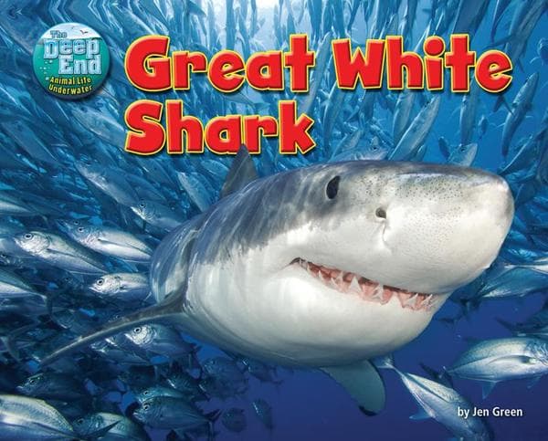 Great White Shark