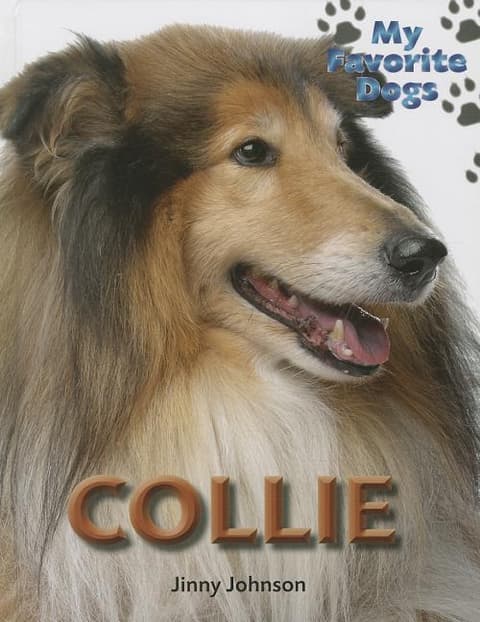 Collie