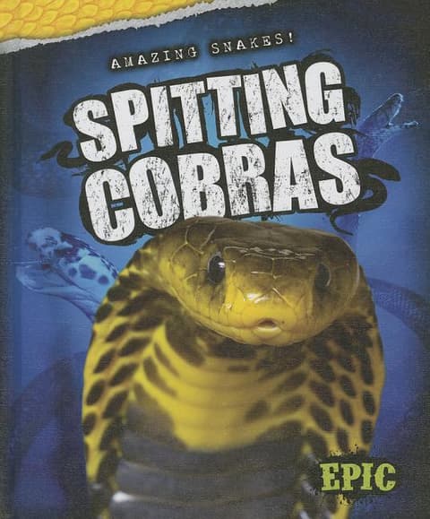 Spitting Cobras