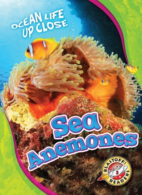 Sea Anemones