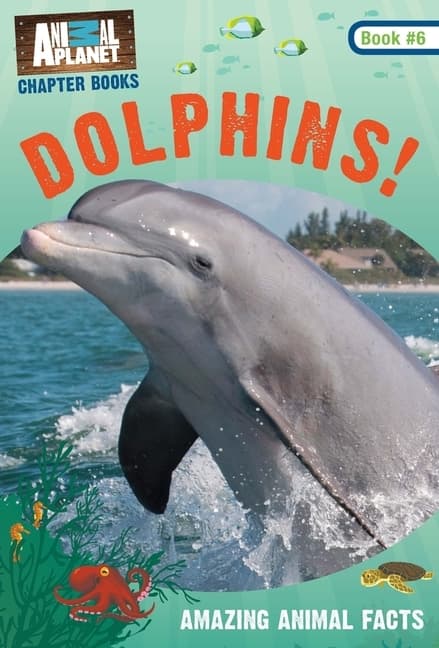 Dolphins!