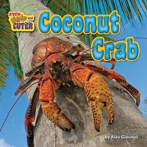 Coconut Crab