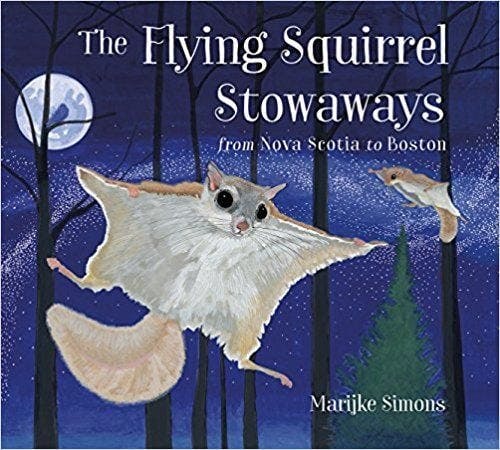 The Flying Squirrel Stowaways