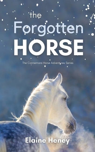 Forgotten Horse - Book 1 in the Connemara Horse Adventure Series for Kids The Perfect Gift for Children