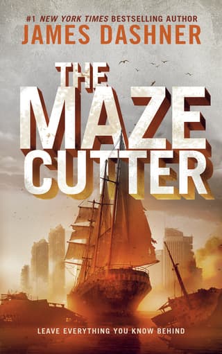 Maze Cutter