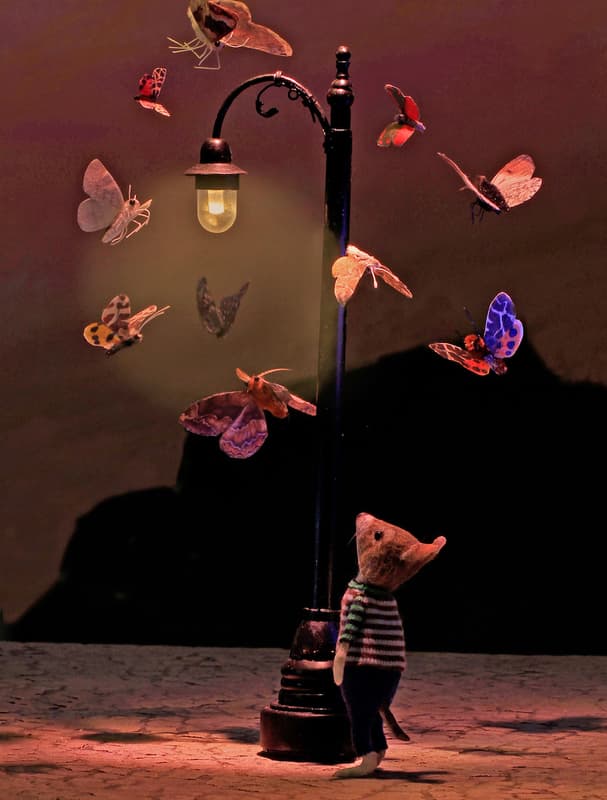 Moths