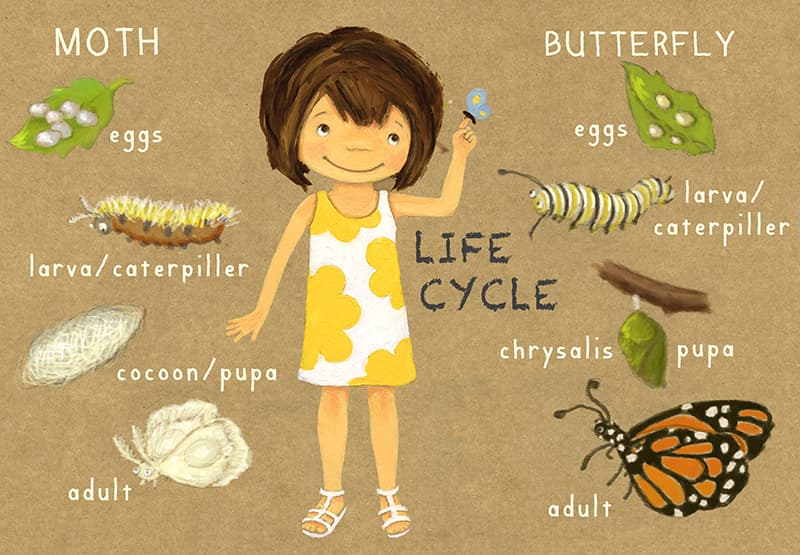 Illustration from Claudia & Moth