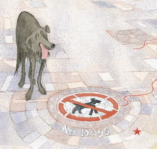 No dogs sign
